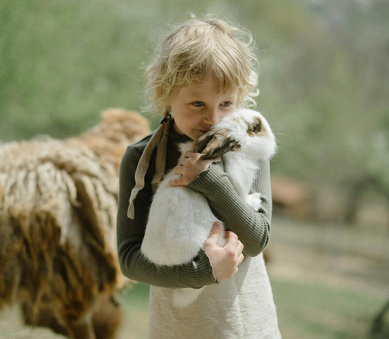 Farmyard Friends camp image