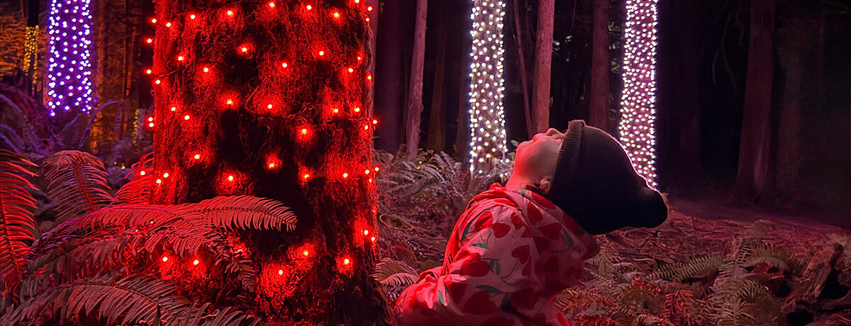 A child in a red coat looks up at trees wrapped in lights, with lit ferns around her
